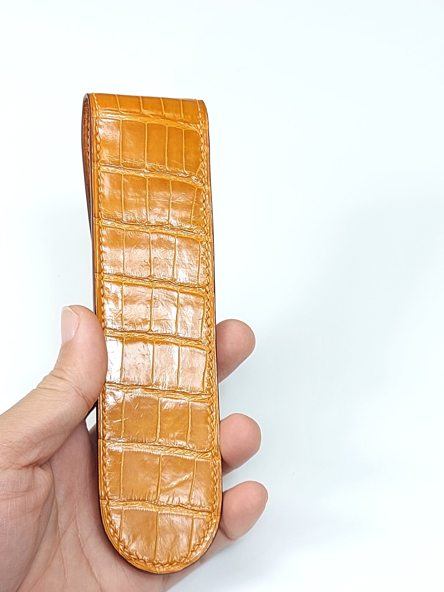 Crocodile pen case