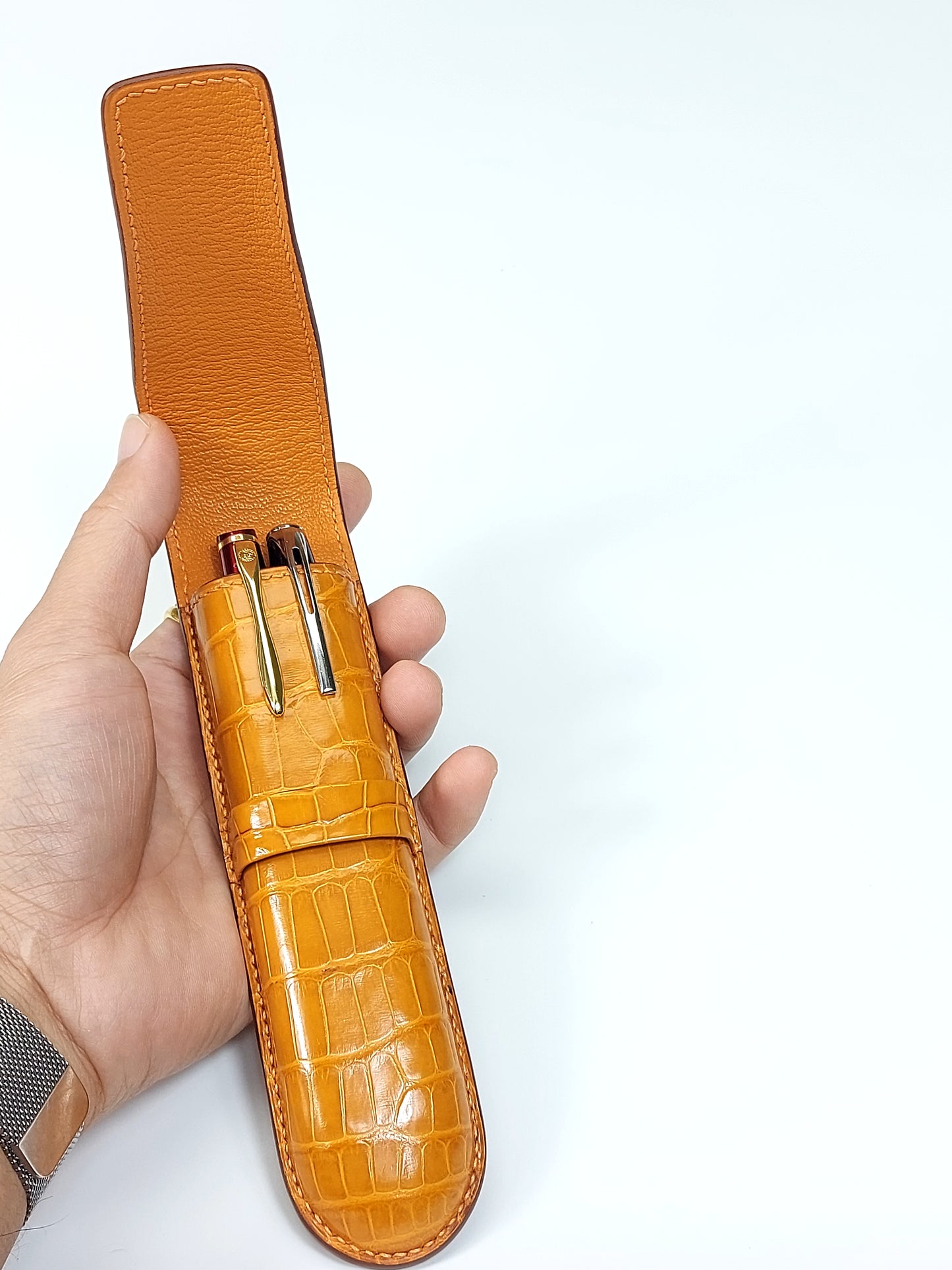Crocodile pen case