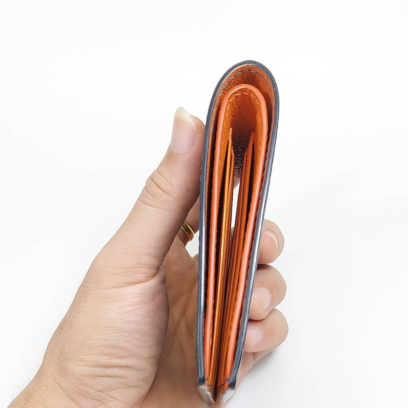 Alligator wallet