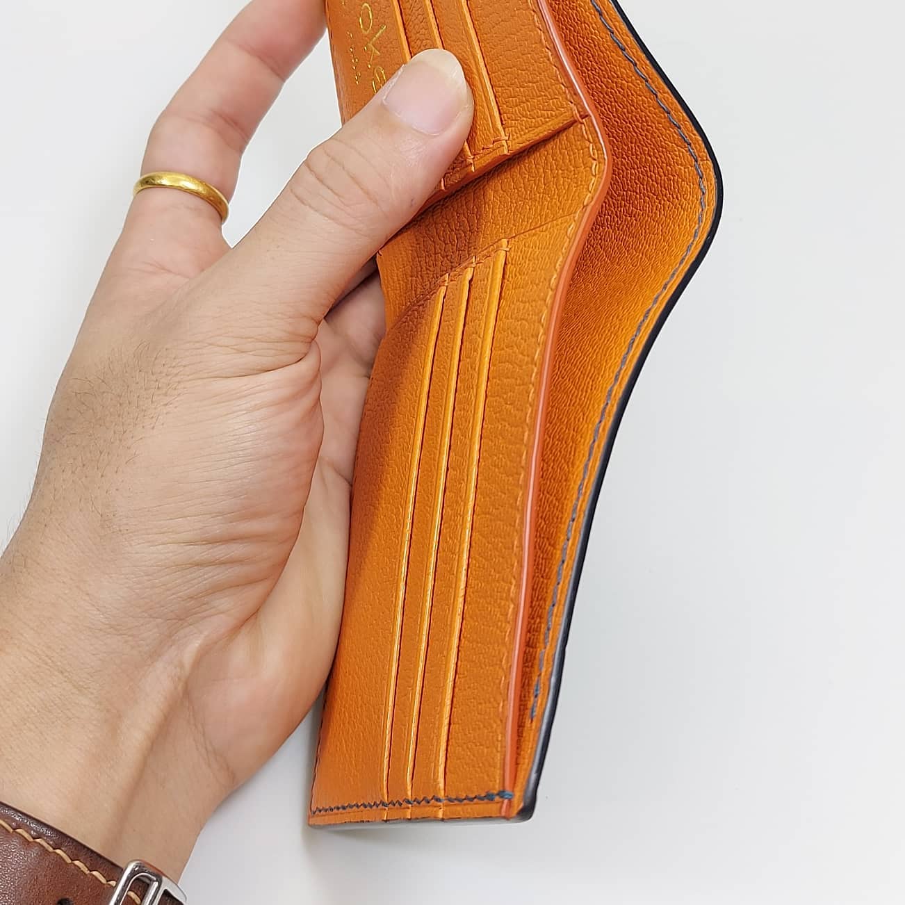 Alligator wallet