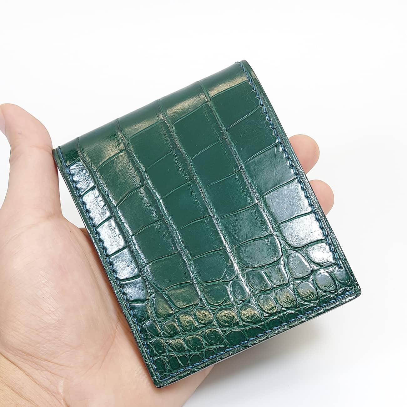 Alligator wallet